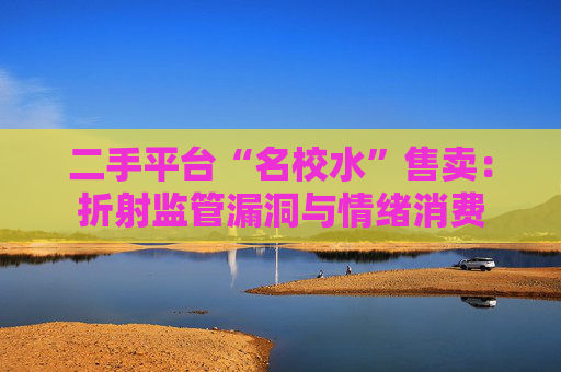 二手平台“名校水”售卖:折射监管漏洞与情绪消费