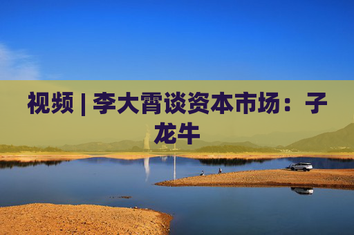 视频 | 李大霄谈资本市场:子龙牛