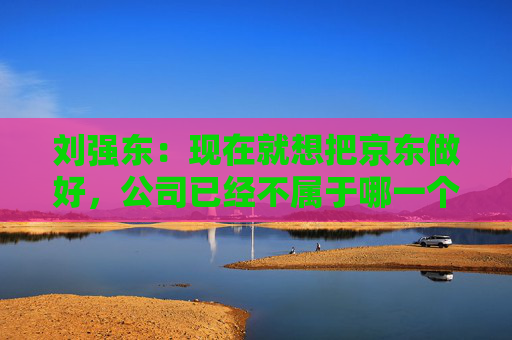 刘强东:现在就想把京东做好,公司已经不属于哪一个人了