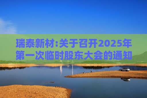 瑞泰新材:关于召开2025年第一次临时股东大会的通知