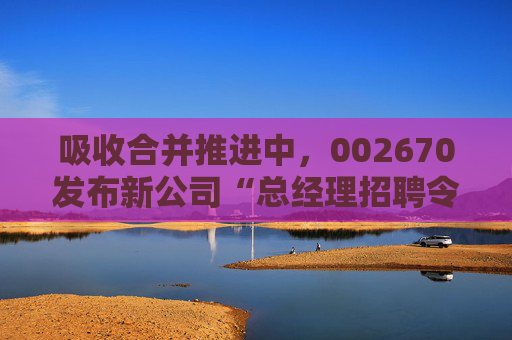 吸收合并推进中，002670发布新公司“总经理招聘令”  第1张