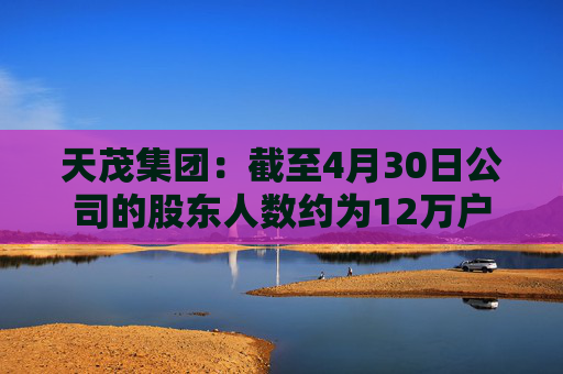 天茂集团:截至4月30日公司的股东人数约为12万户