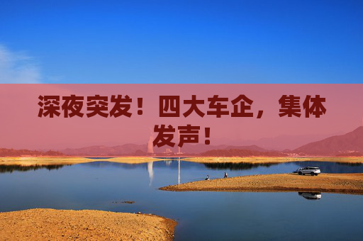 深夜突发！四大车企，集体发声！