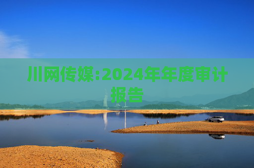 川网传媒:2024年年度审计报告  第1张