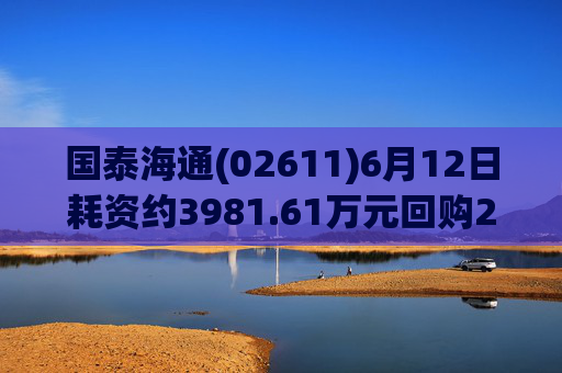 国泰海通(02611)6月12日耗资约3981.61万元回购214.992万股A股