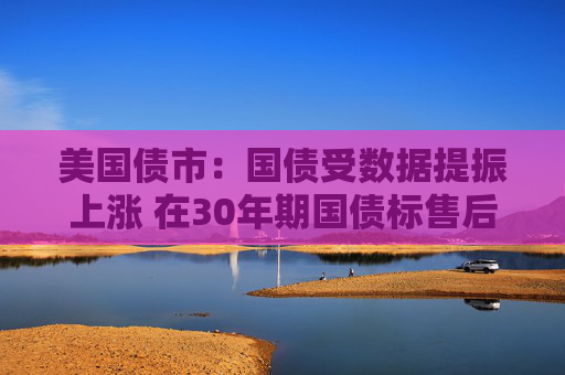 美国债市：国债受数据提振上涨 在30年期国债标售后延续涨势  第1张