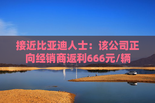 接近比亚迪人士：该公司正向经销商返利666元/辆  第1张