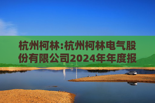杭州柯林:杭州柯林电气股份有限公司2024年年度报告