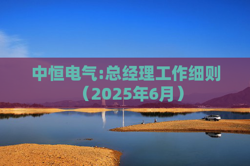 中恒电气:总经理工作细则（2025年6月）