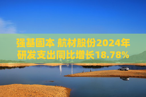 强基固本 航材股份2024年研发支出同比增长18.78%