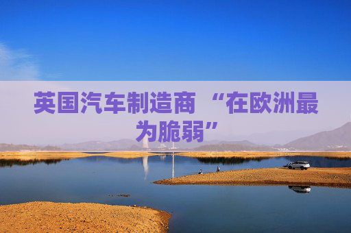 英国汽车制造商 “在欧洲最为脆弱”