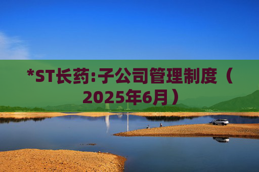 *ST长药:子公司管理制度(2025年6月)