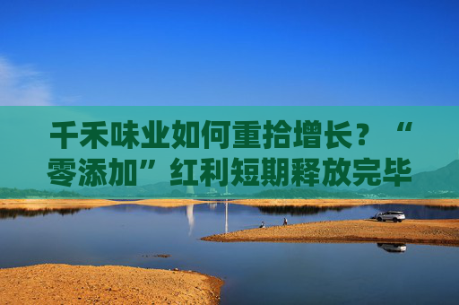 千禾味业如何重拾增长?“零添加”红利短期释放完毕 股价下跌控股股东融资参与的定增被套