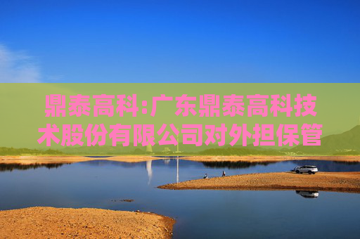 鼎泰高科:广东鼎泰高科技术股份有限公司对外担保管理制度(2025年6月)