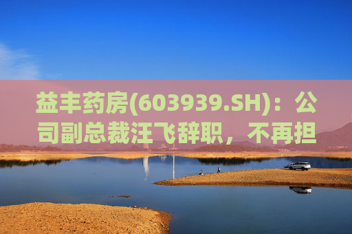 益丰药房(603939.SH):公司副总裁汪飞辞职,不再担任公司其他职务