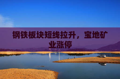 钢铁板块短线拉升，宝地矿业涨停