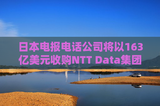 日本电报电话公司将以163亿美元收购NTT Data集团