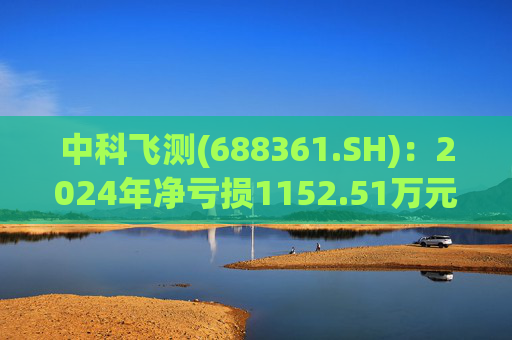 中科飞测(688361.SH)：2024年净亏损1152.51万元  第1张