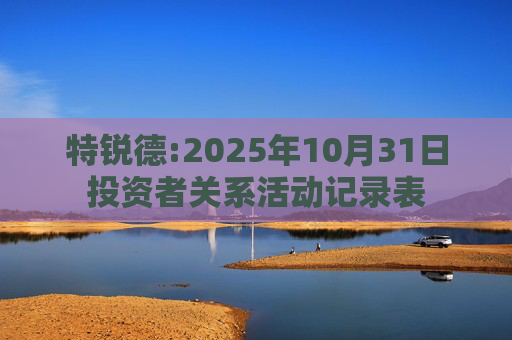 特锐德:2025年10月31日投资者关系活动记录表
