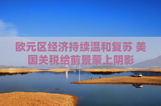 欧元区经济持续温和复苏 美国关税给前景蒙上阴影