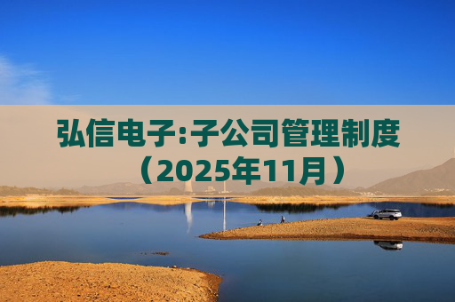 弘信电子:子公司管理制度（2025年11月）  第1张