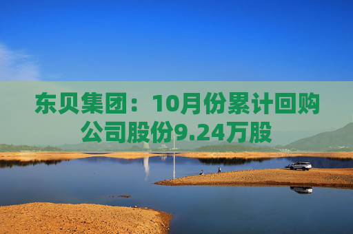 东贝集团：10月份累计回购公司股份9.24万股