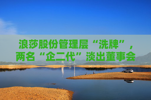 浪莎股份管理层“洗牌”，两名“企二代”淡出董事会