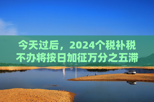 今天过后，2024个税补税不办将按日加征万分之五滞纳金