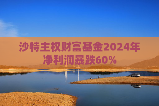 沙特主权财富基金2024年净利润暴跌60%