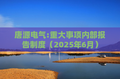 唐源电气:重大事项内部报告制度(2025年6月)