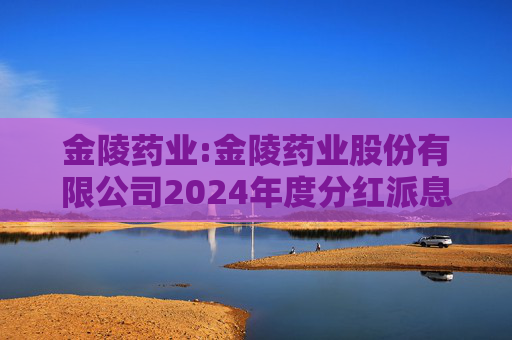 金陵药业:金陵药业股份有限公司2024年度分红派息实施公告