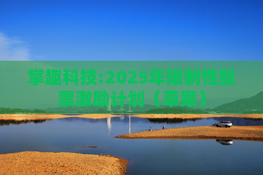 掌趣科技:2025年限制性股票激励计划(草案)
