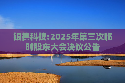 银禧科技:2025年第三次临时股东大会决议公告