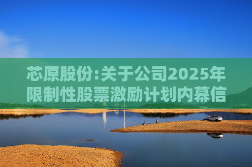 芯原股份:关于公司2025年限制性股票激励计划内幕信息知情人买卖公司股票情况的自查报告