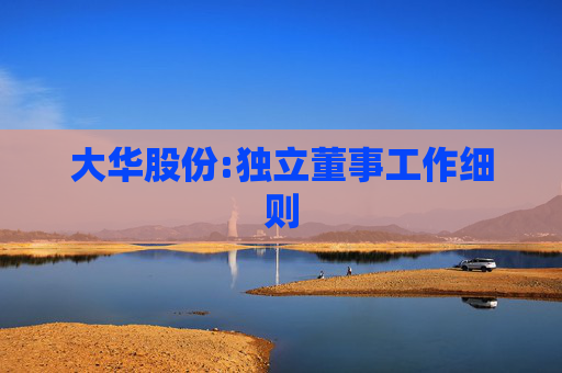 大华股份:独立董事工作细则