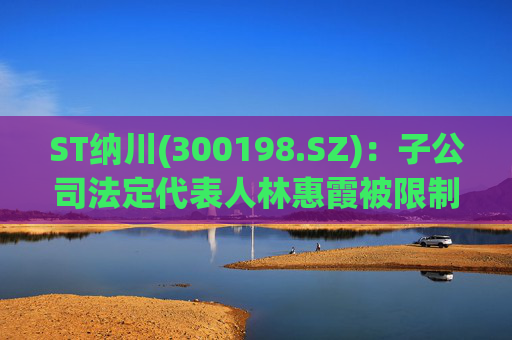 ST纳川(300198.SZ)：子公司法定代表人林惠霞被限制高消费