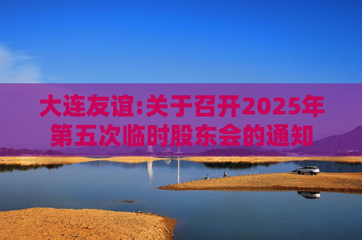 大连友谊:关于召开2025年第五次临时股东会的通知