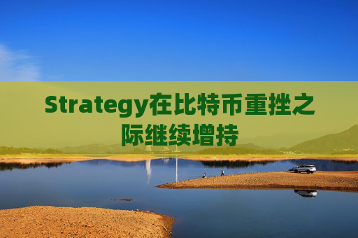 Strategy在比特币重挫之际继续增持