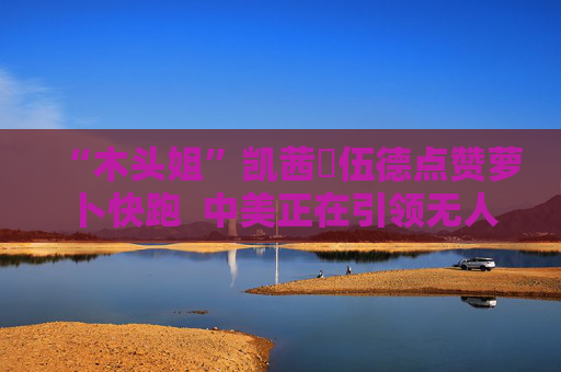“木头姐”凯茜・伍德点赞萝卜快跑 中美正在引领无人驾驶的发展潮流