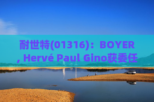 耐世特(01316)：BOYER, Hervé Paul Gino获委任为执行董事  第1张