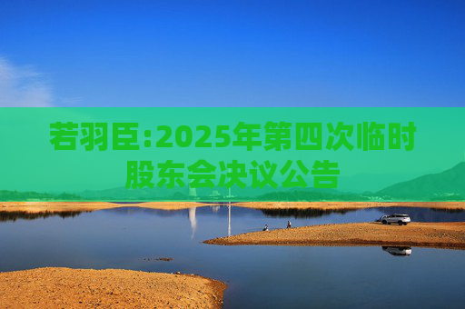 若羽臣:2025年第四次临时股东会决议公告
