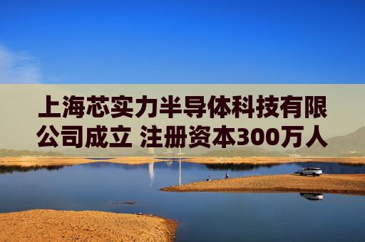 上海芯实力半导体科技有限公司成立 注册资本300万人民币