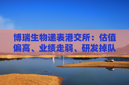 博瑞生物递表港交所：估值偏高、业绩走弱、研发掉队、内控问题频发 资本市场是否买单？