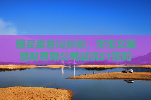 因买卖合同纠纷，济南文通建材有限公司起诉ST瑞和