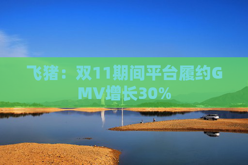 飞猪:双11期间平台履约GMV增长30%