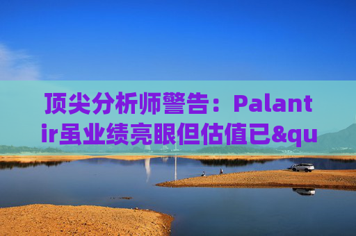 顶尖分析师警告：Palantir虽业绩亮眼但估值已"趋于完美"