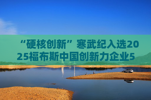 “硬核创新”寒武纪入选2025福布斯中国创新力企业50强