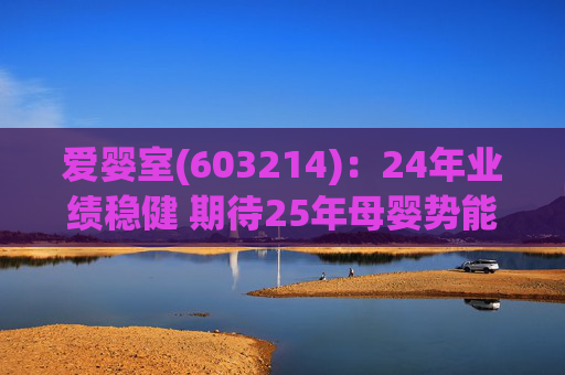 爱婴室(603214):24年业绩稳健 期待25年母婴势能及万代门店加速