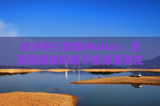 欧洲央行管委Muller：无需因通胀略低于目标而匆忙降息  第1张