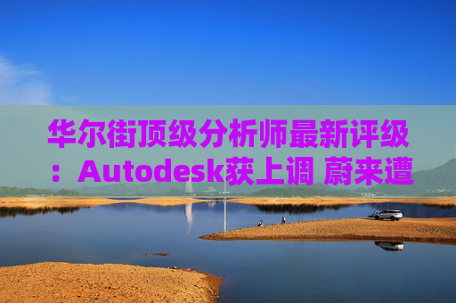 华尔街顶级分析师最新评级：Autodesk获上调 蔚来遭下调  第1张